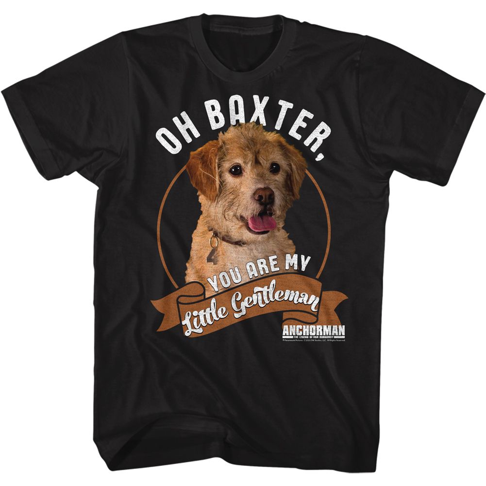 Anchorman - Little Gentleman - Short Sleeve - Adult - T-Shirt
