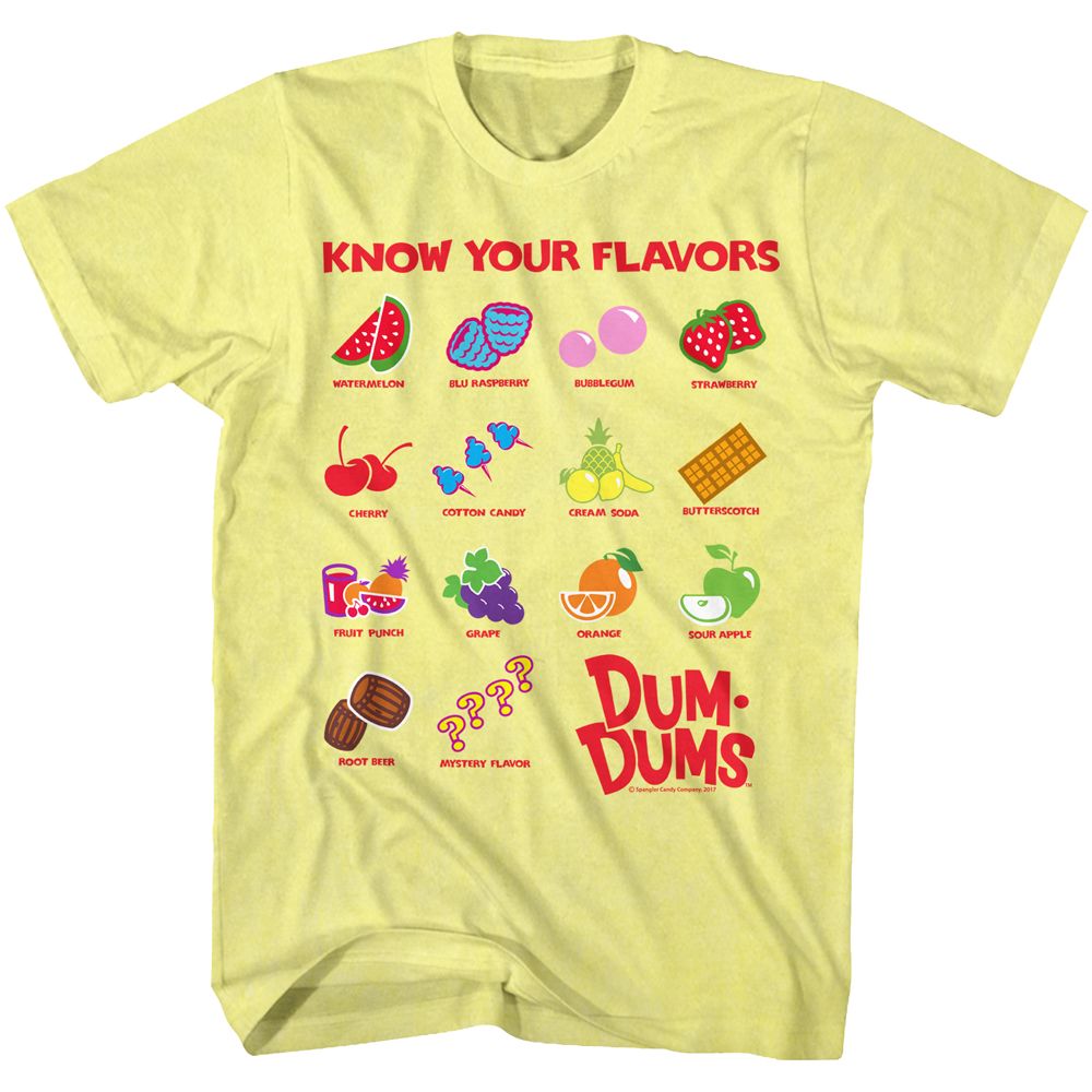 Dum Dums - Know Your Flavors - Short Sleeve - Heather - Adult - T-Shirt