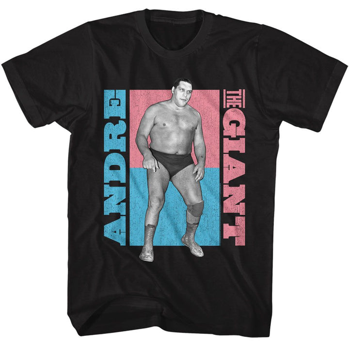 Andre The Giant - Color Blocks - American Classics - Solid Black Adult Short Sleeve T-Shirt