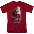 The Hobbit - Balin - Adult Unisex Short Sleeve T-Shirt - Red