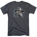 The Hobbit - Gandalf The Grey - Adult Unisex Short Sleeve T-Shirt - Gray