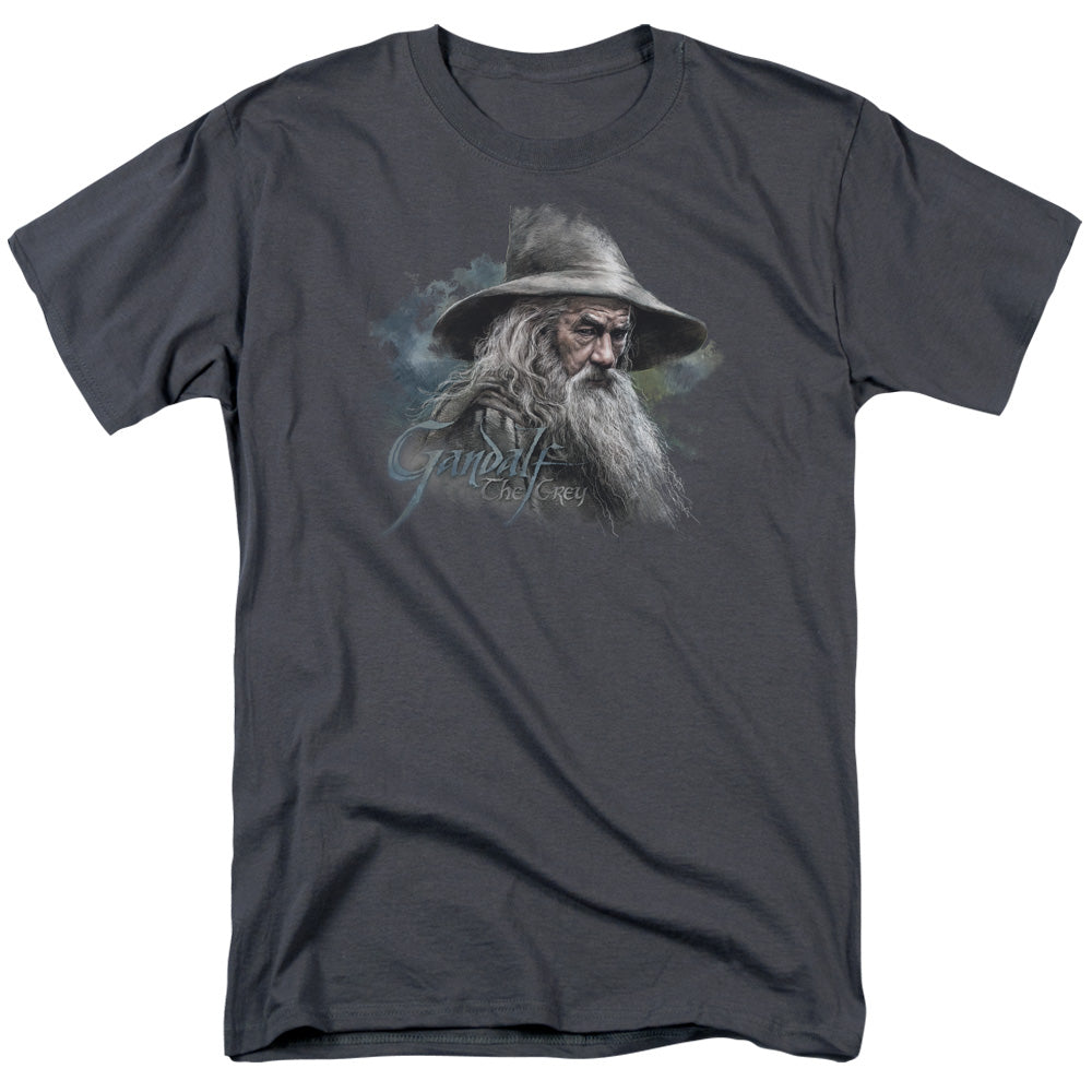 The Hobbit - Gandalf The Grey - Adult Unisex Short Sleeve T-Shirt - Gray