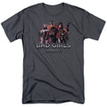 DC Comics - Injustice Gods Among Us - Bad Girls - Adult Unisex T-Shirt - Gray