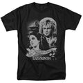 Labyrinth - Anniversary - Adult Unisex Short Sleeve T-Shirt - Black