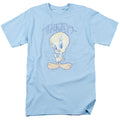 Looney Tunes - Tweety Fade - Adult Unisex Short Sleeve T-Shirt - Blue