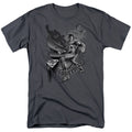 DC Comics - Superman - Fight And Flight - Adult Unisex T-Shirt - Gray