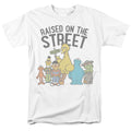 Sesame Street - The In My Hood #2 - Adult Unisex Short Sleeve T-Shirt - Gray