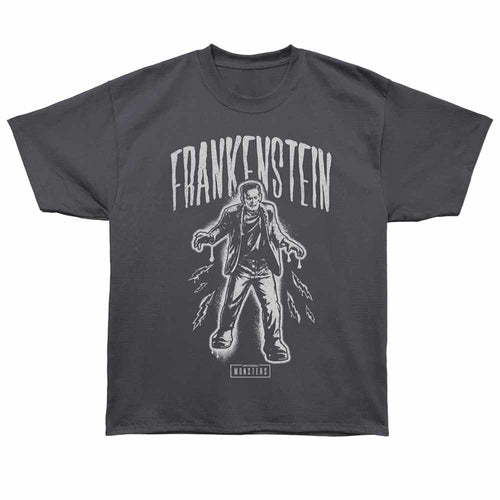 Universal Monsters - Frankenstein Spray Paint - Bronx Oversized Short Sleeve T-Shirt - Front Print - Gray