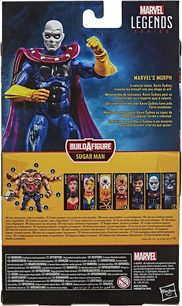 Hasbro Marvel Legends Series X-Men: Age of Apocalypse Morph 6-inch Action Figure