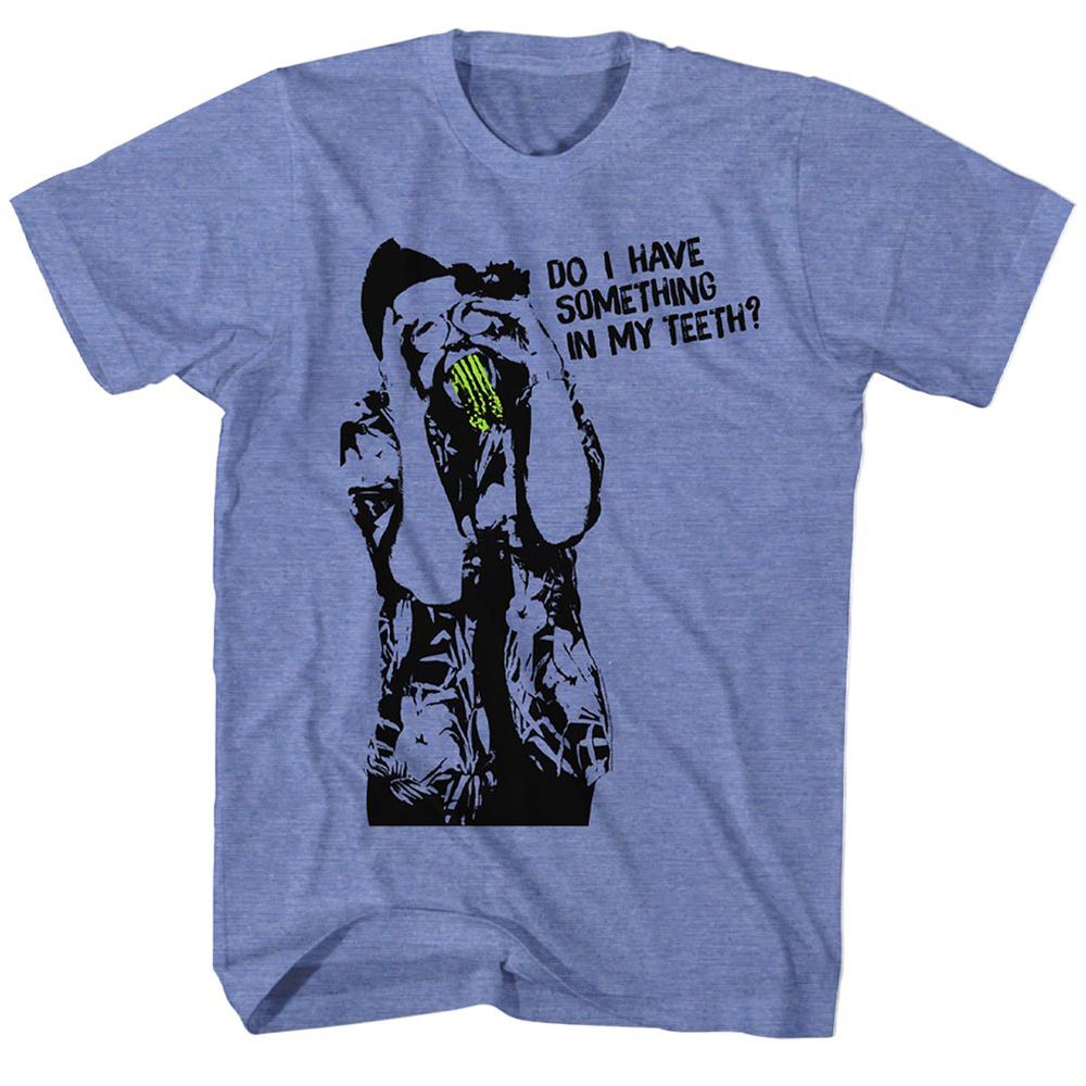Ace Ventura - Something - Short Sleeve - Heather - Adult - T-Shirt