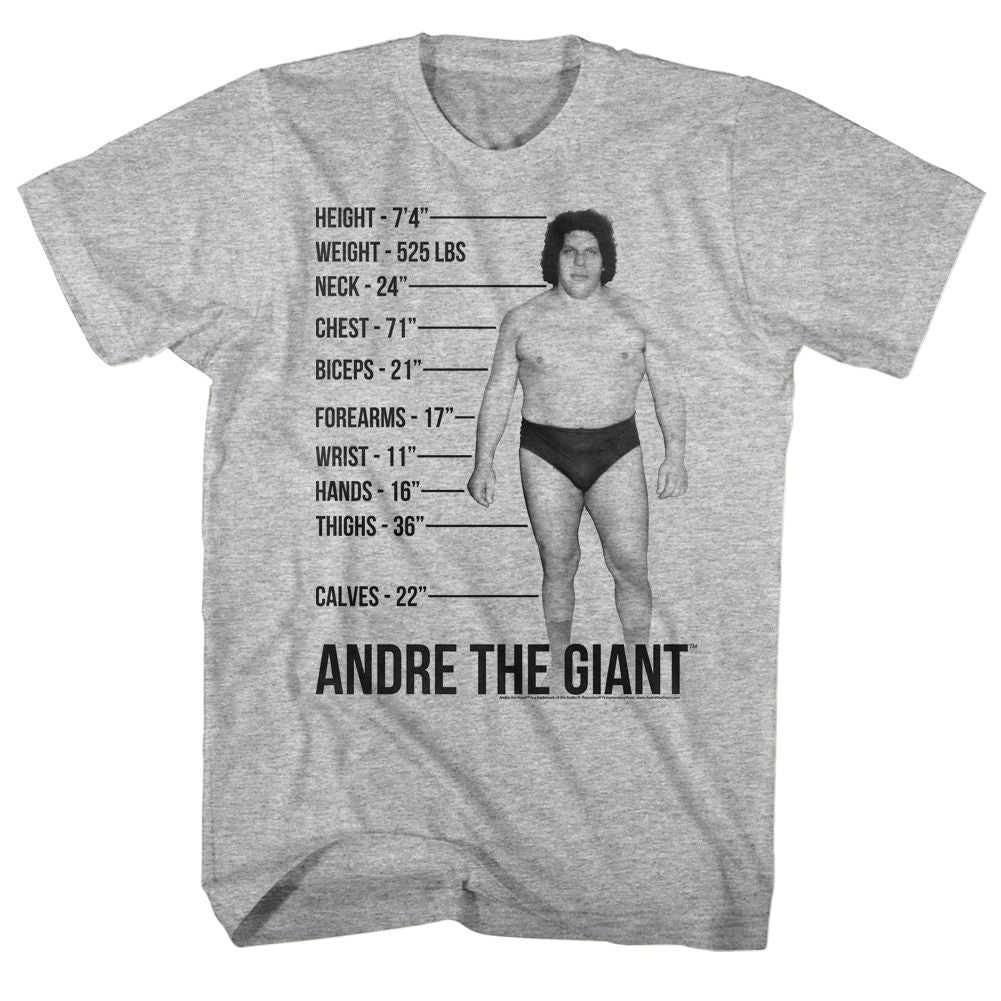 Andre The Giant - Giant Specs - Short Sleeve - Heather - Adult - T-Shirt