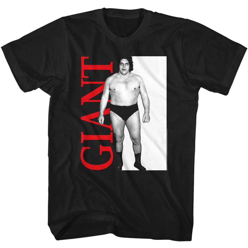 Andre The Giant - Andre Giant - Short Sleeve - Adult - T-Shirt