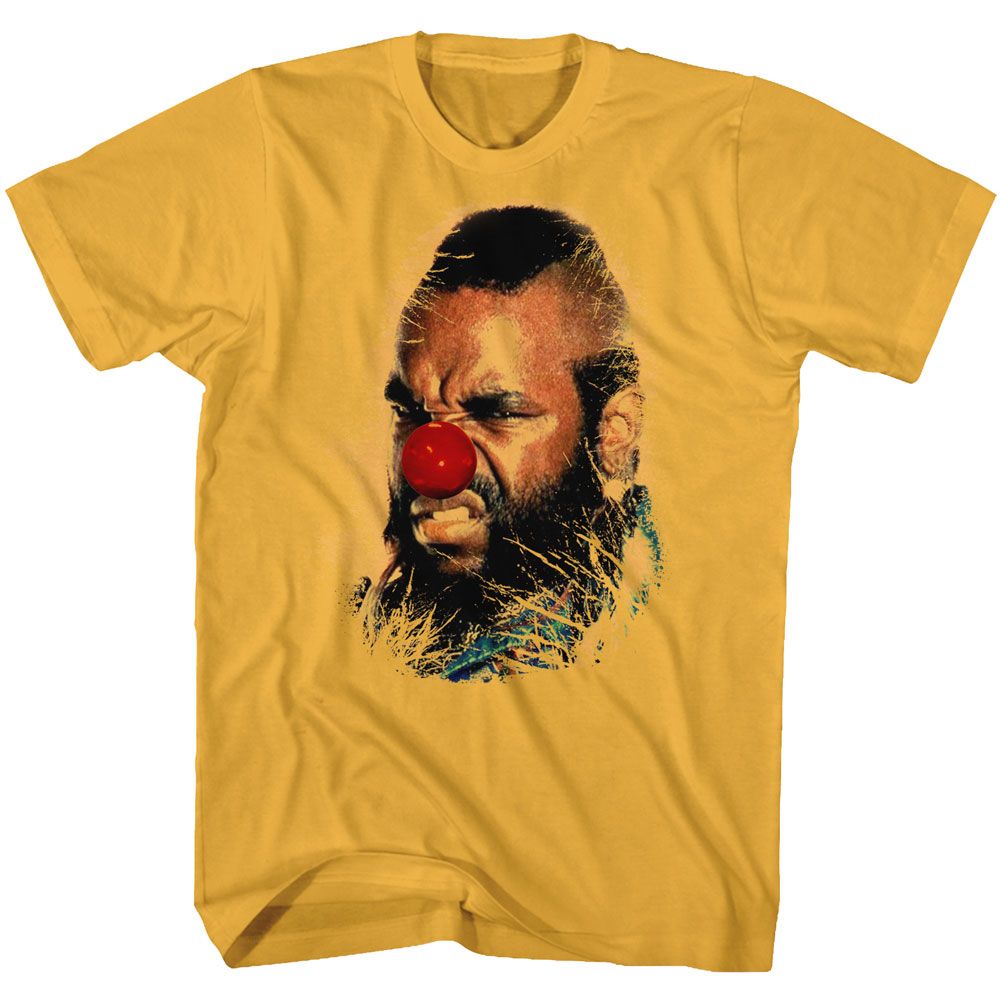 Mr. T - Why Must I - Short Sleeve - Adult - T-Shirt