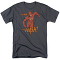 DC Comics - Flash - Whirlwind - Adult T-Shirt