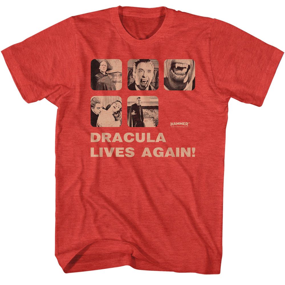 Hammer Horror - Dracula Risen - Short Sleeve - Heather - Adult - T-Shirt