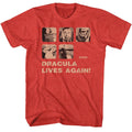 Hammer Horror - Dracula Risen - Short Sleeve - Heather - Adult - T-Shirt