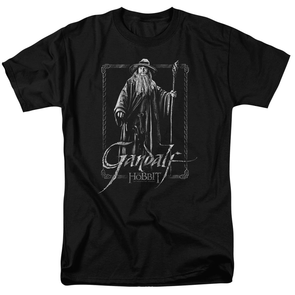 The Lord of The Rings The Hobbit - Gandalf Stare - Adult T-Shirt