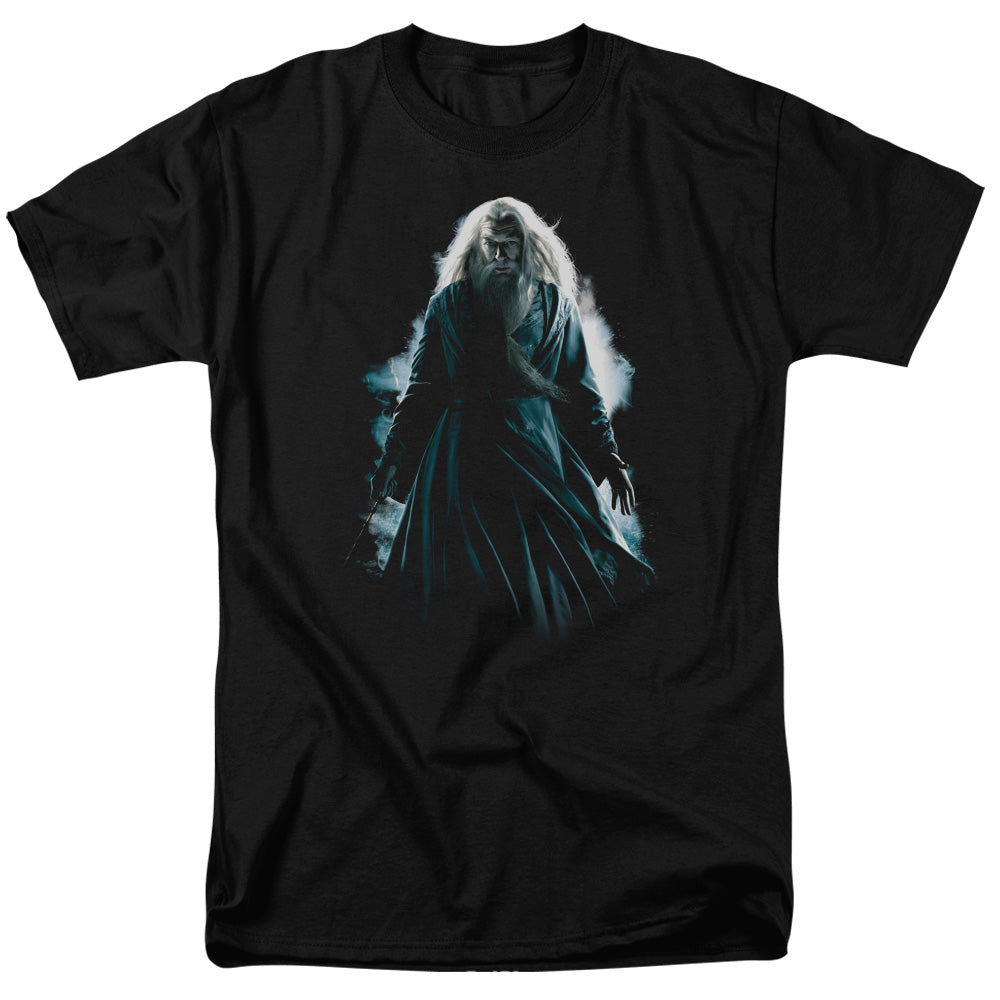 Harry Potter - Dumbledore Burst - Adult T-Shirt