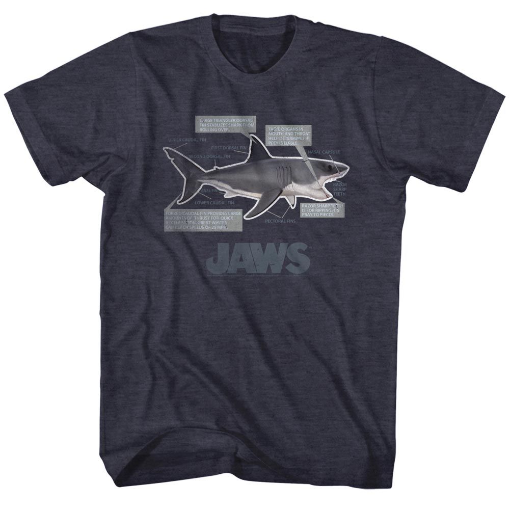 Jaws - Anatomy - Short Sleeve - Heather - Adult - T-Shirt