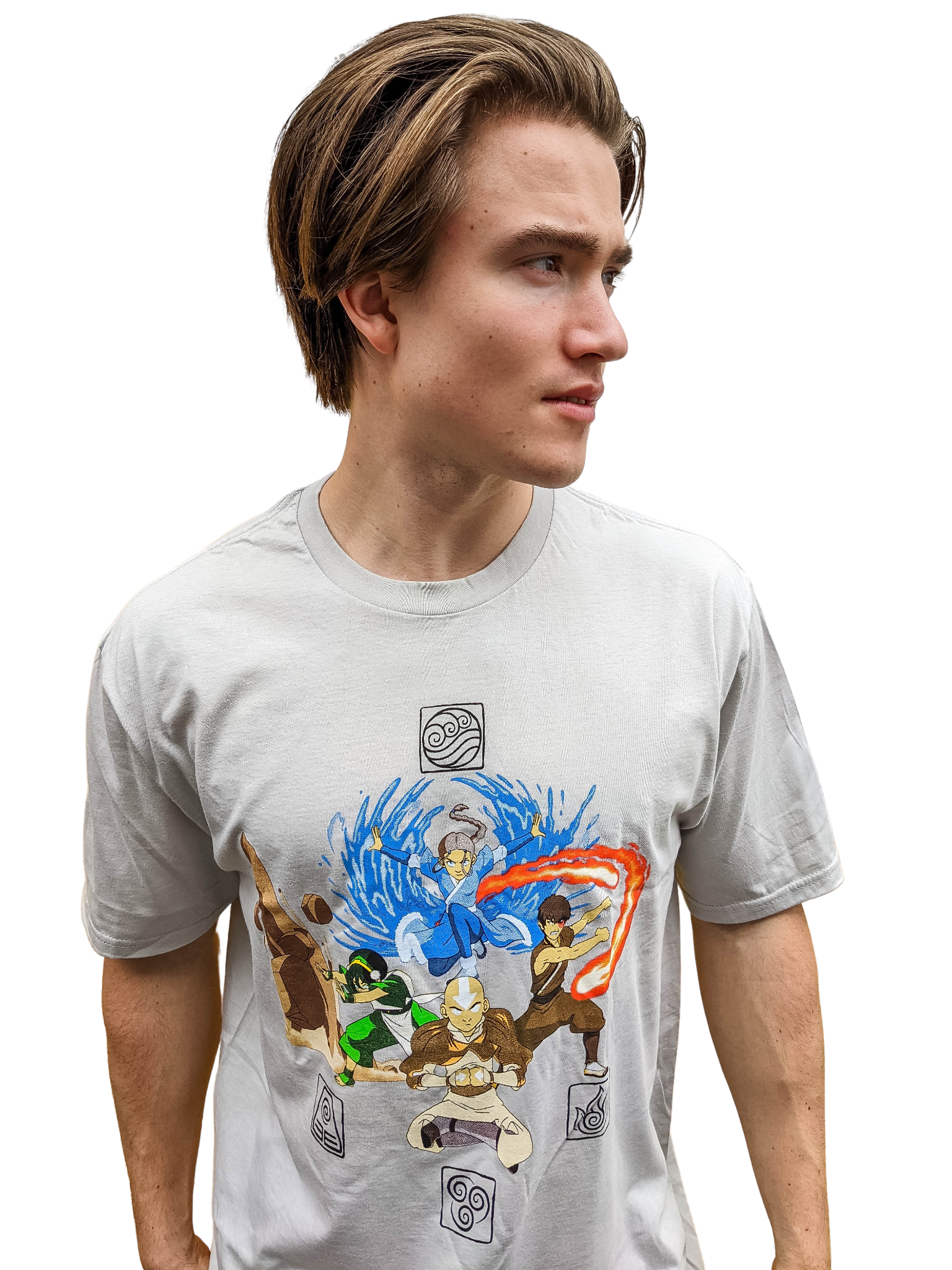 Avatar The Last Airbender the Four Elements T Shirt